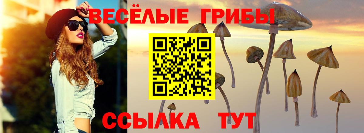 Псилоцибиновые грибы Psilocybe  Вход с VPN  Чебаркуль 